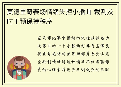 莫德里奇赛场情绪失控小插曲 裁判及时干预保持秩序